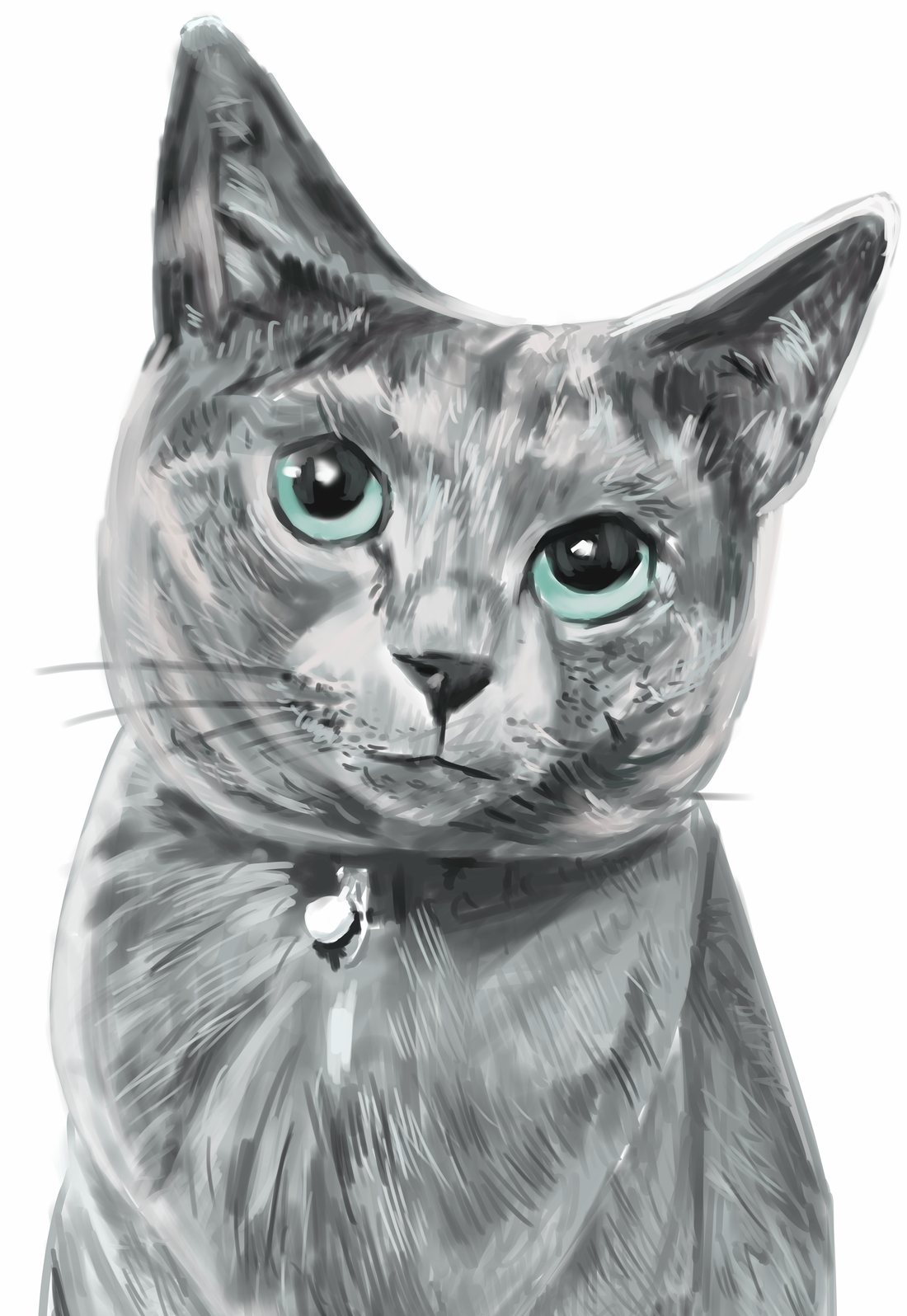猫の肖像のデジタル彩色イラスト